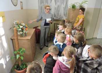 Zdjęcie